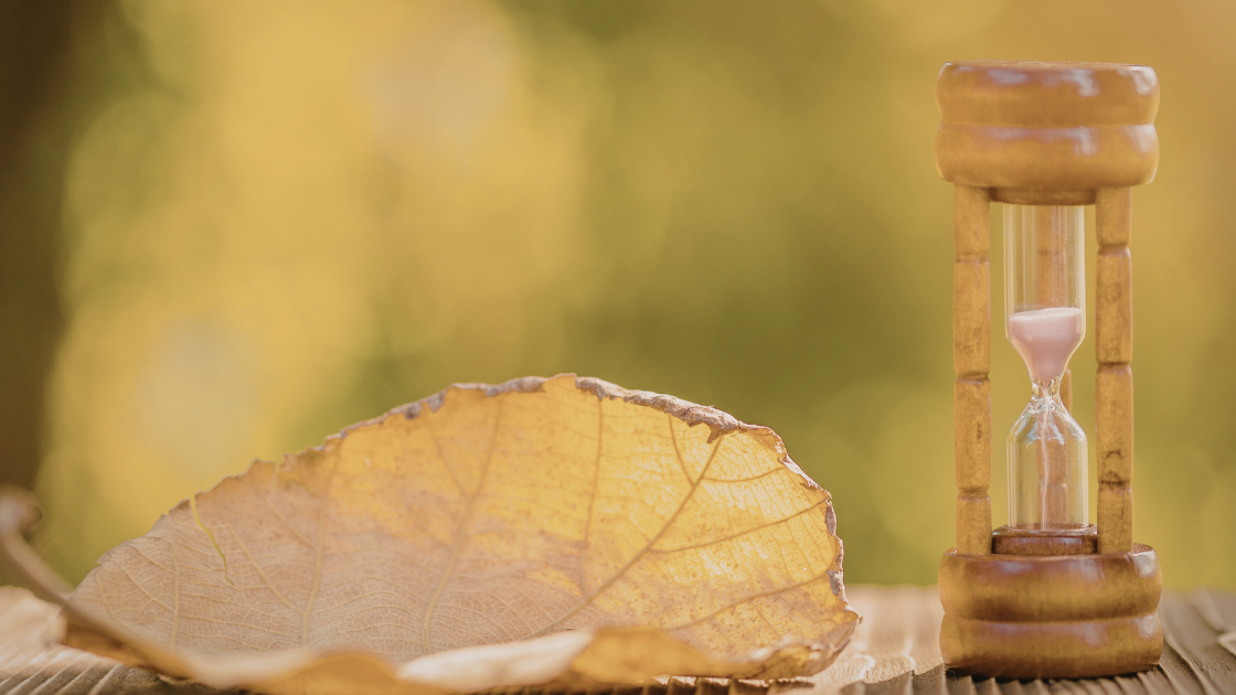 Beitragsbild-Moosmann-Coaching-Gewaltfreie-Kommunikation-Blatt-und-Sanduhr