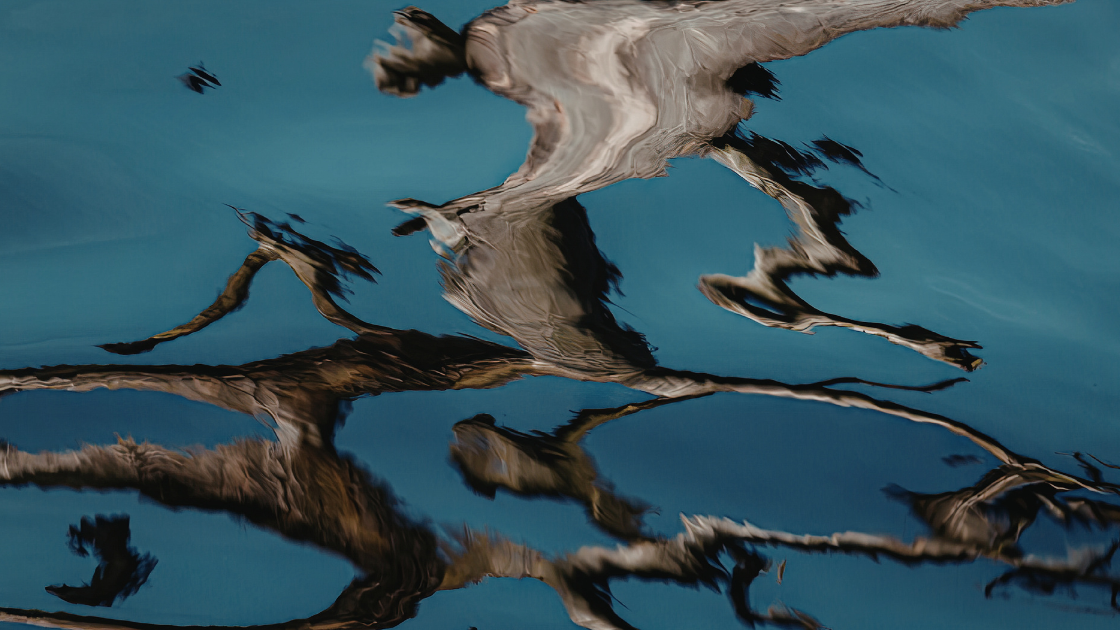 Beitragsbild-Moosmann-Coaching-Gewaltfreie-Kommunikation-Wasser-mit-Spiegelung